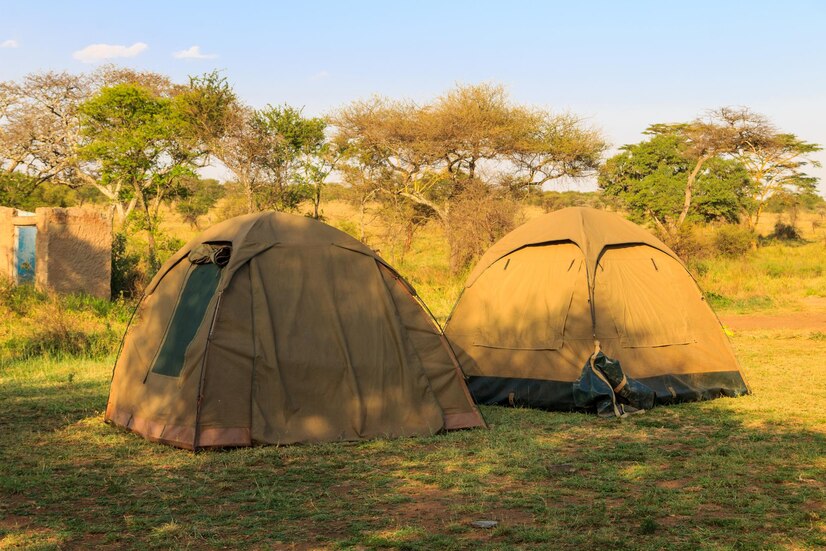 3 Days / 2 Nights Camping Safari in Tanzania