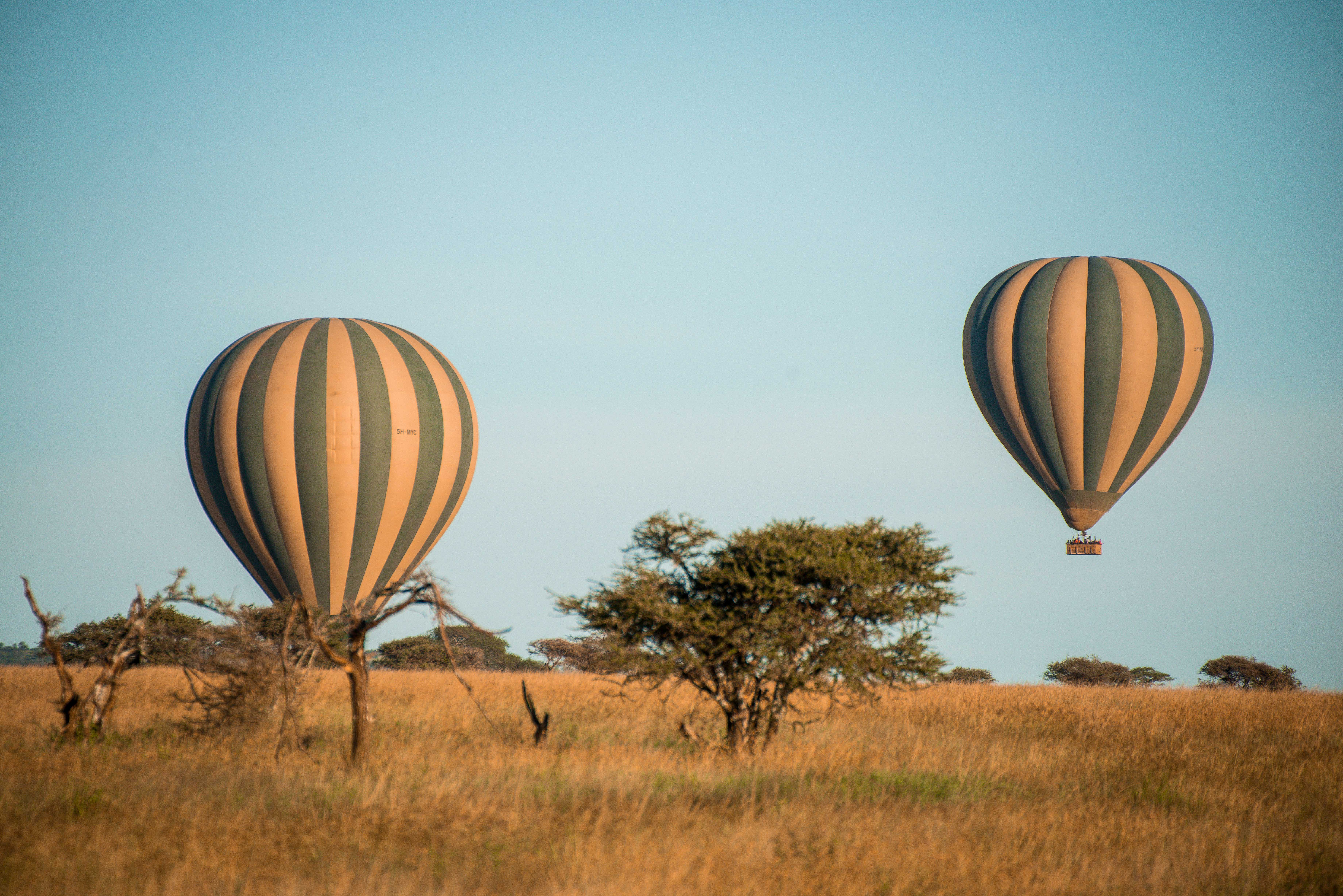 5 Days / 4 Nights Serengeti Safari – Witness the Thrill of the Migration