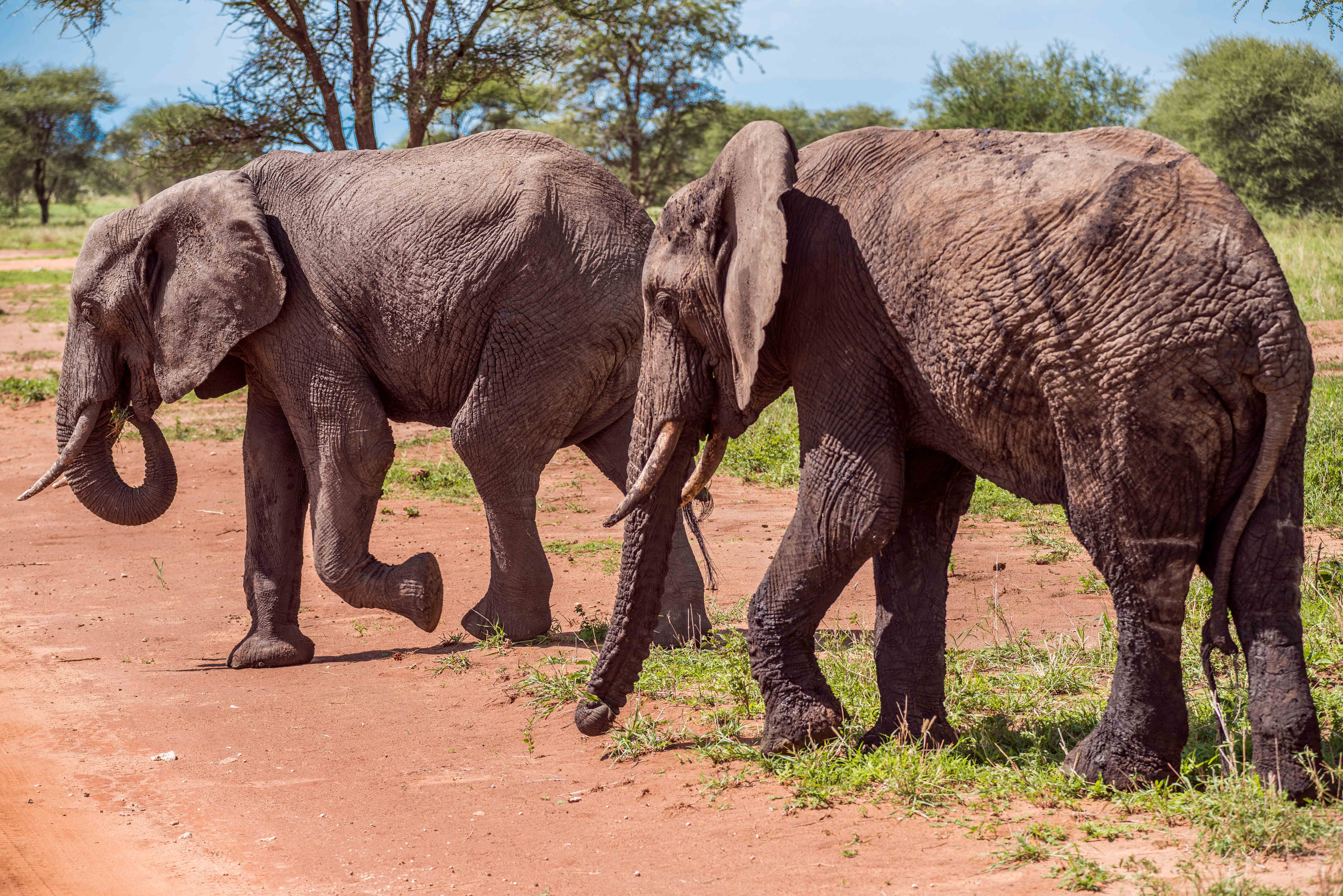 6 Days / 5 Nights Family Safari & Cultural Tour