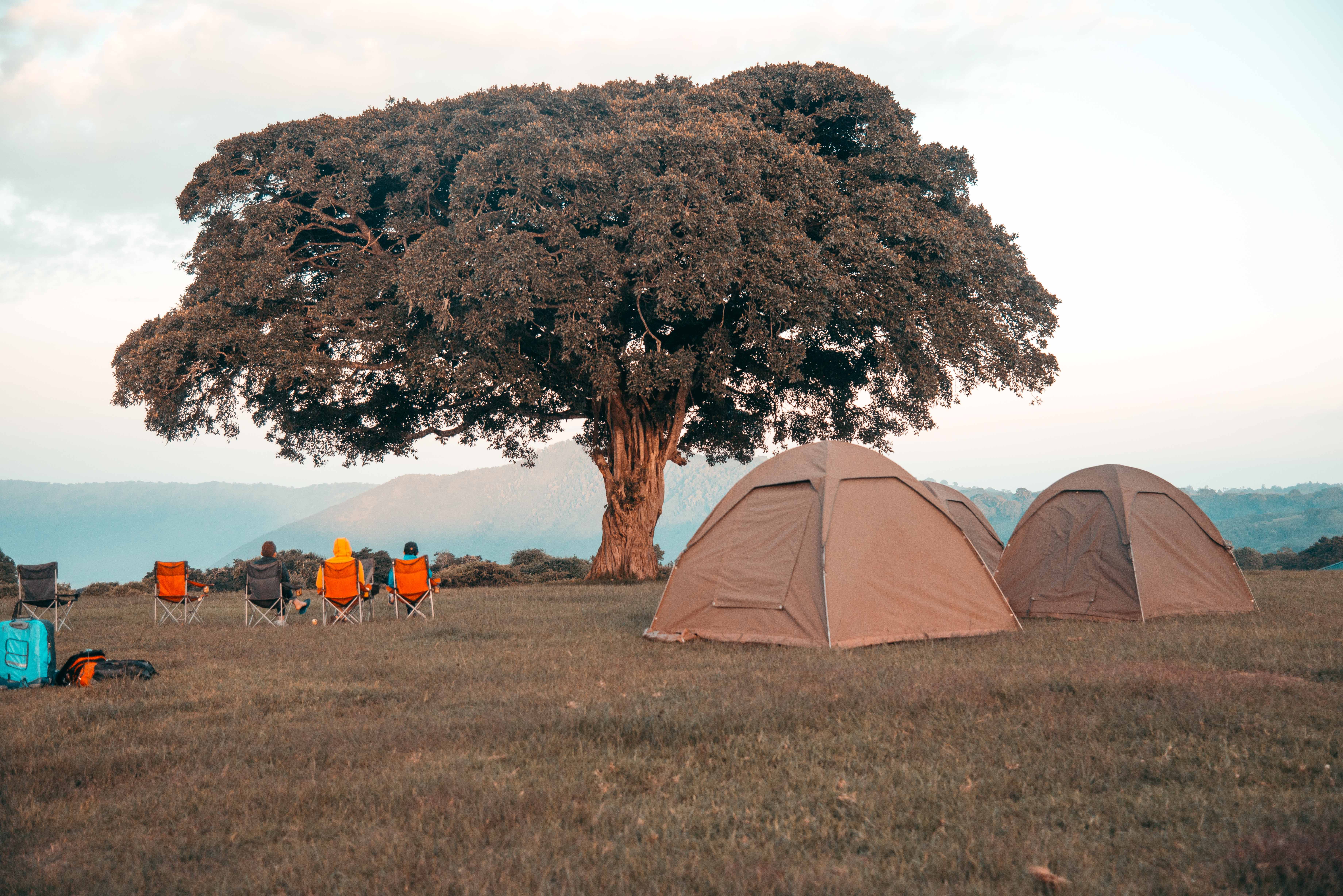 Ngorongoro conservation area
