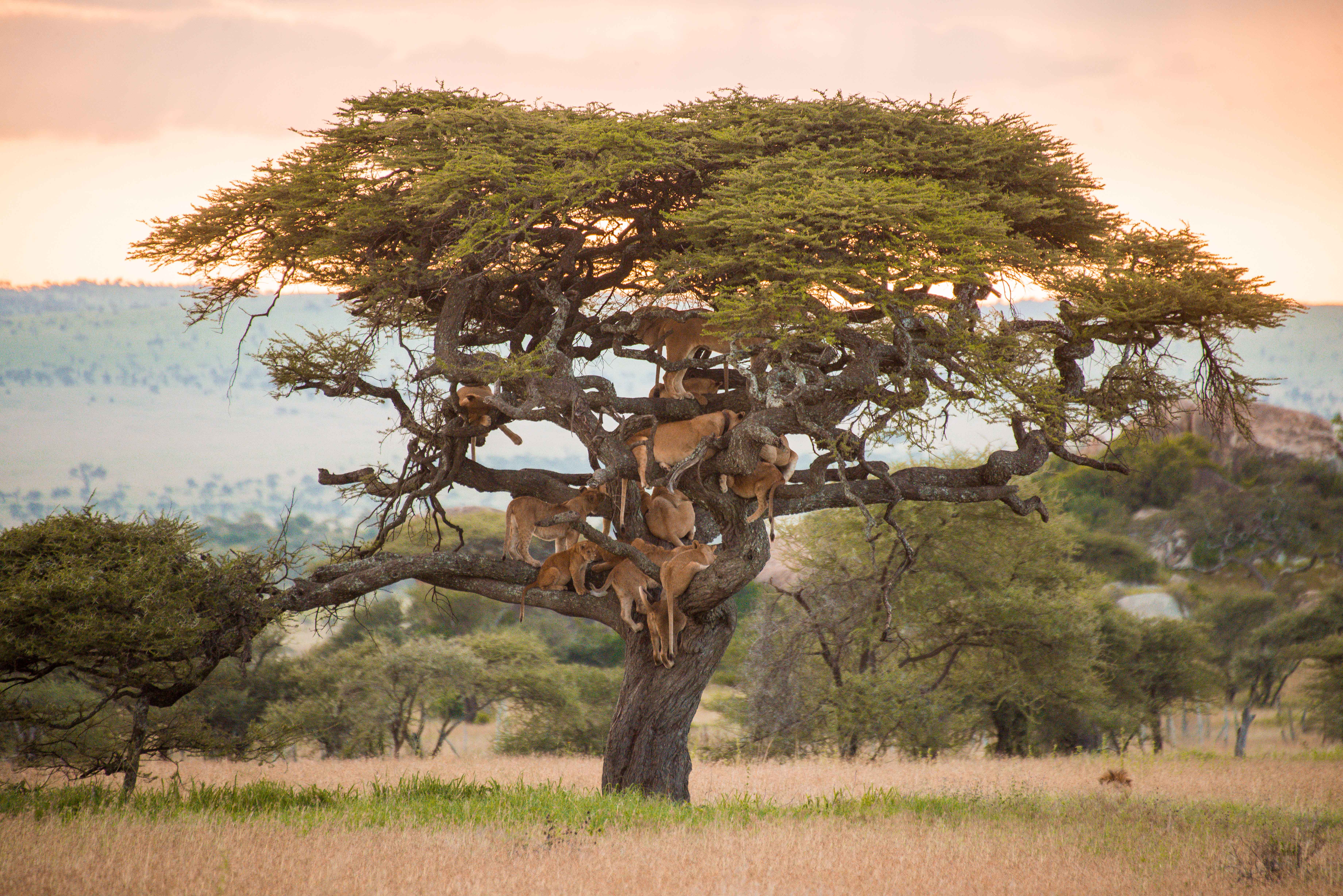 Serengeti National Park