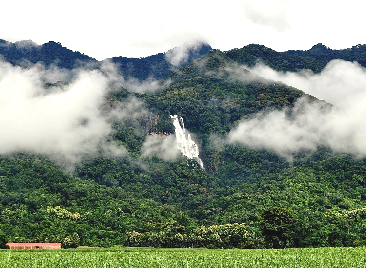 Udzungwa Mountains National Park